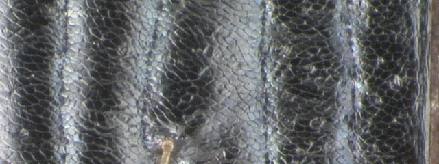 Specimen DNA3252, Alberta