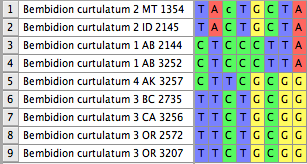 Screen shot 2013-03-23 at 5.08.27 PM