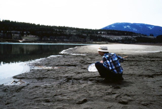 Wayne Maddison along Kootenay River near Bull River, 1982