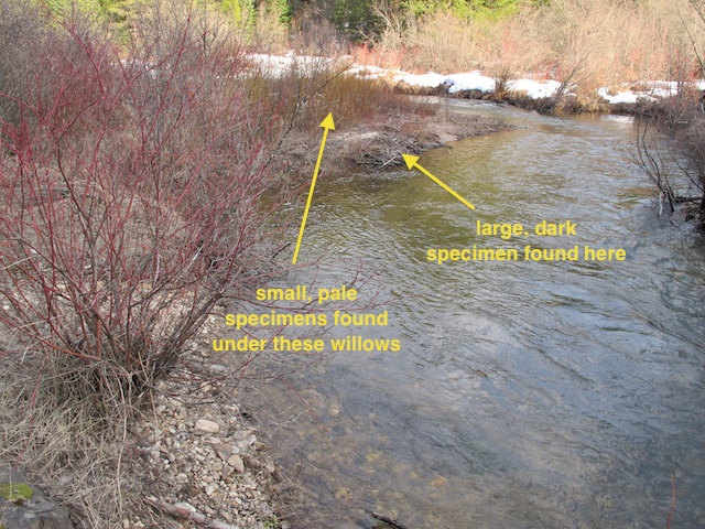 East Fork Potlatch River, Idaho