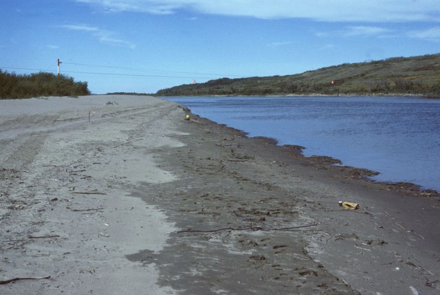 North Saskatchewan River at Paynton Ferry, on a better day (8 September 1982). This is not where the body was found.