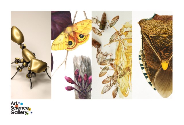 PostcardFrontWEB_RGB