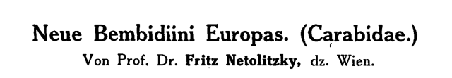 Netol. 1918 title