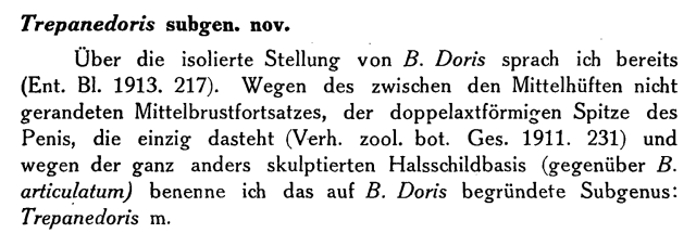 Netolitzky 1918 Trepanedoris
