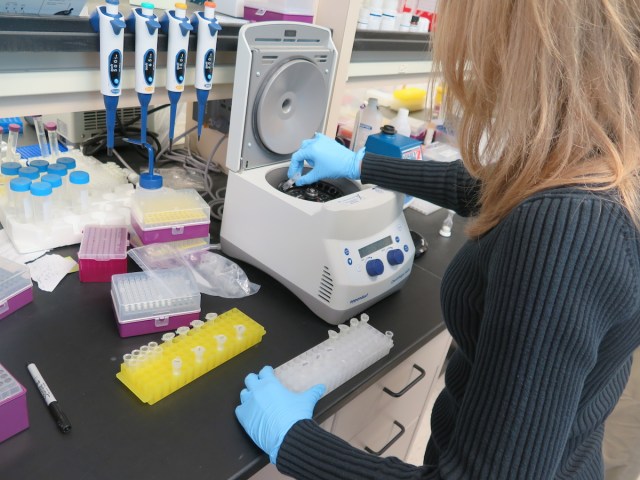 ElleDNAExtraction