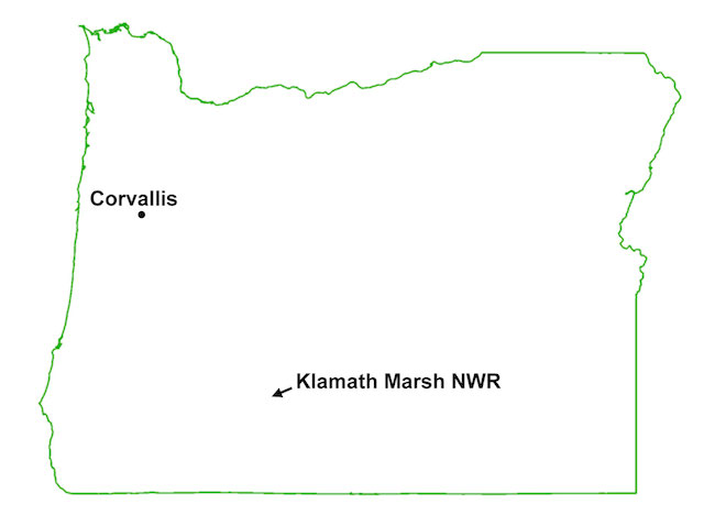 KlamathMarshMap2