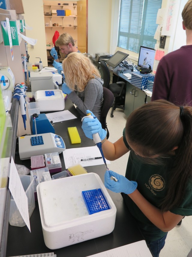 preparing PCR