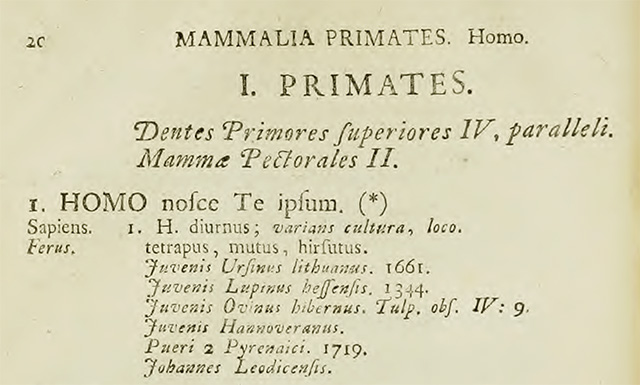 Caroli Linnaei...Systema naturae per regna tria naturae ?secundu