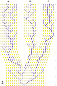 FullPopulationNe20formTreeNotMatch All Copies