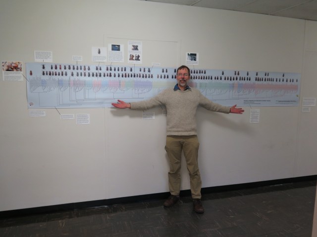 davidandthebigtreedecember2016small